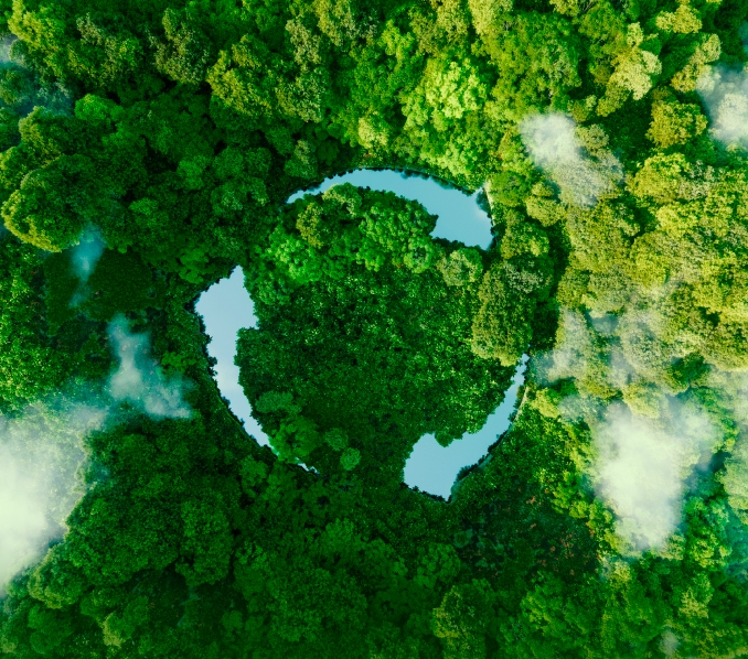 SolaX Green Supply Chain